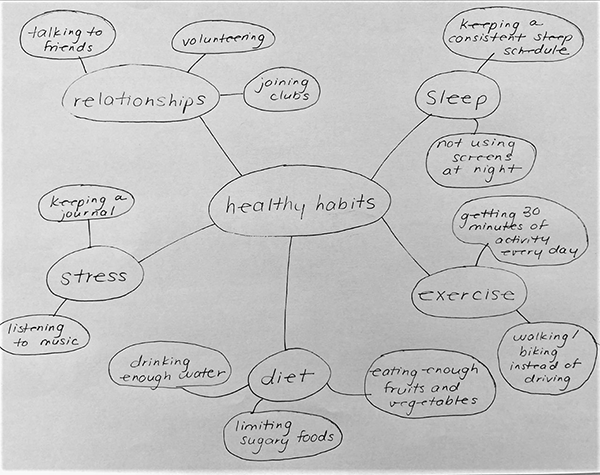 Concept map with the main topic in the middle and subtopics branching off.