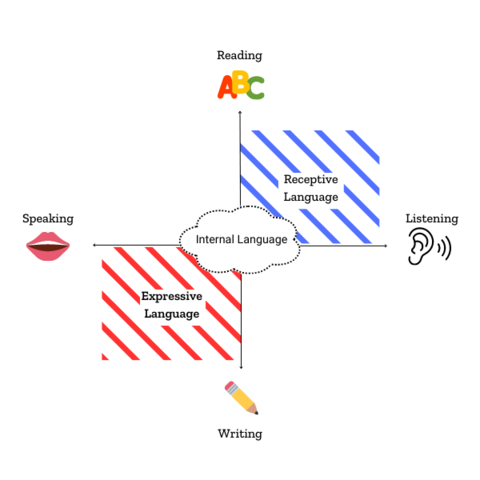 A graphic with four quadrants showing how reading, listening, writing, and speaking are interrelated and are categorized into expressive language and receptive language