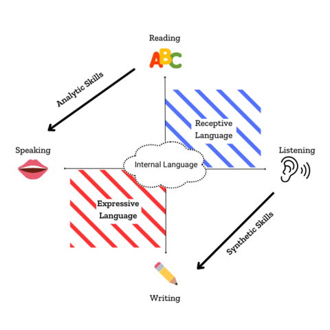 A graphic with four quadrants showing how reading, listening, writing, and speaking are interrelated and are categorized into analytic skills, synthetic skills, expressive language, and receptive language