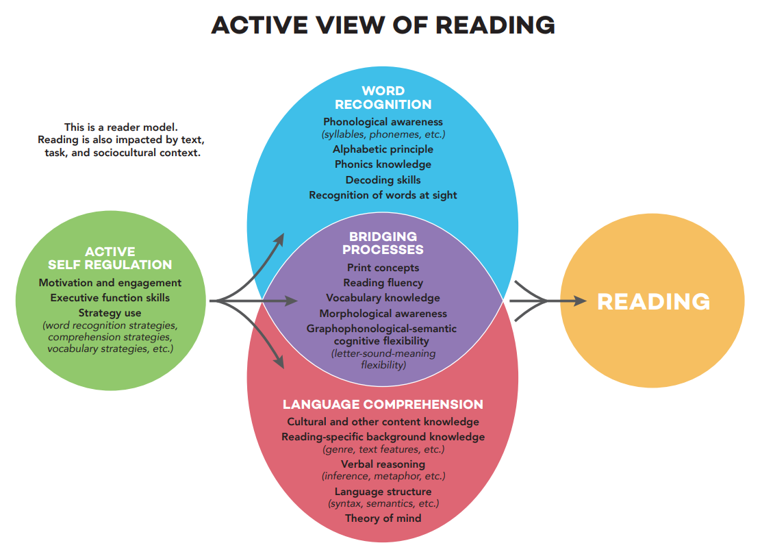 A model of the Active View of Reading