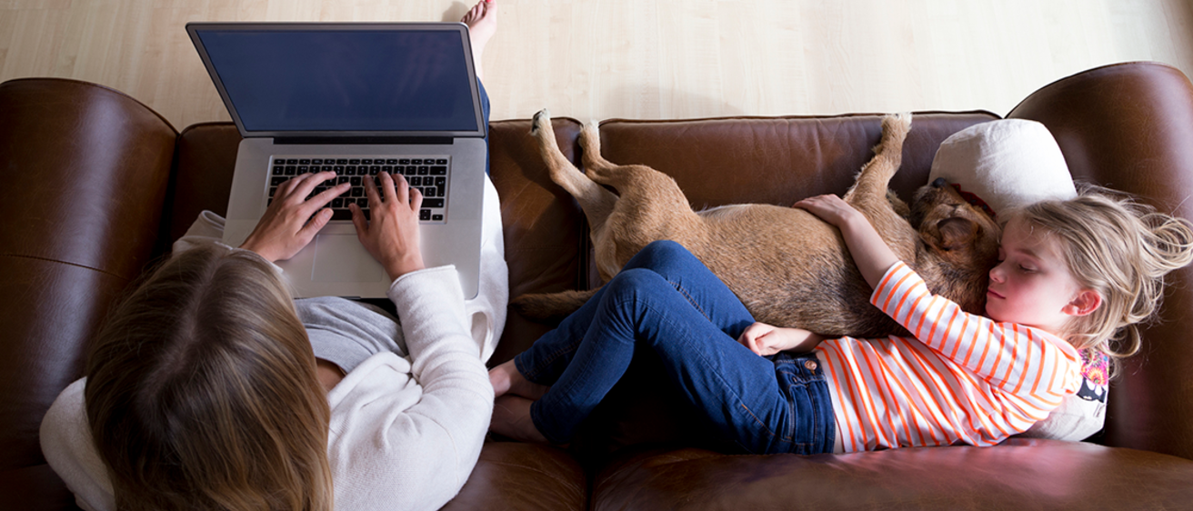 Overhead picture of Mom on laptop with child and dog sleeping next to her