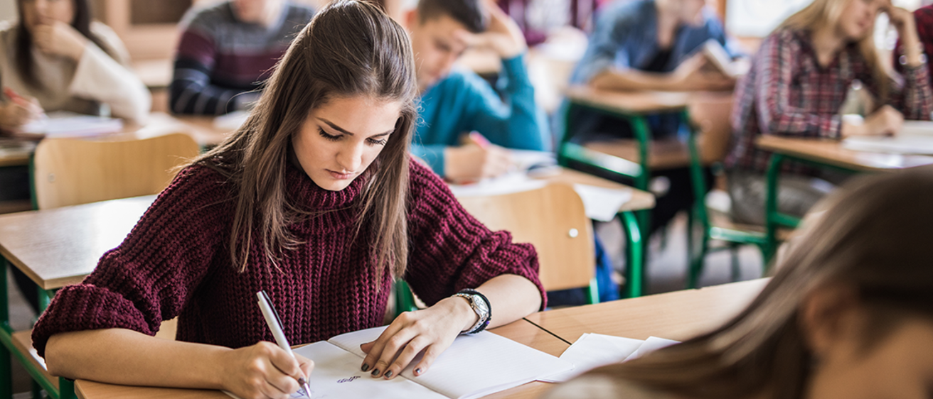 Teen girl writing concept map in class