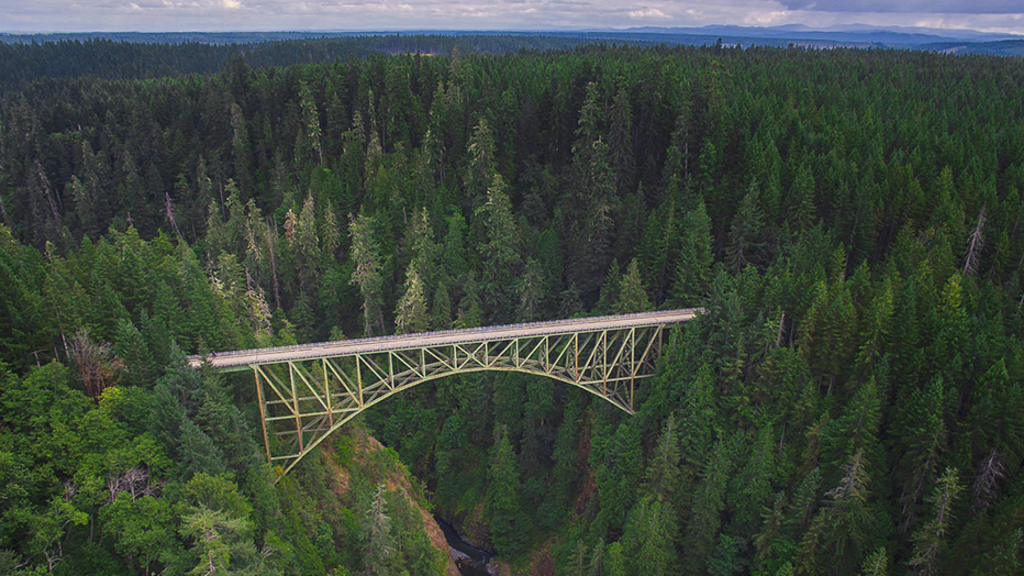 An aerial shot of a small bridge over a river in a big pine forest